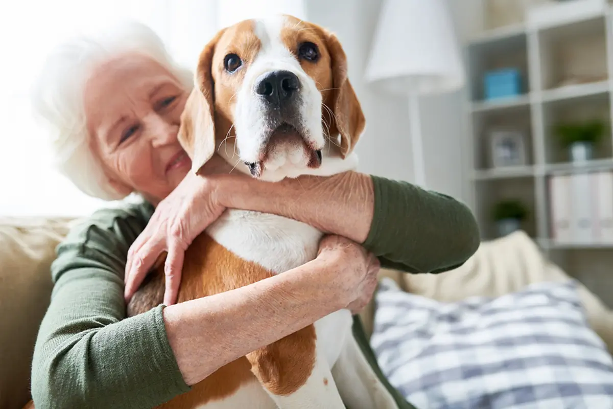 Emotional Support Animals and Service Animals: What Celina Landlords Must Know After HUD's 2026 Policy Shift